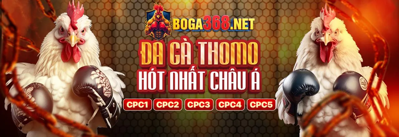 Đá Gà Trực Tuyến Hấp Dẫn tại rik88 chính thức