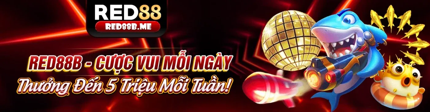 Điều khoản dịch vụ của rik88 chính thức, nền tảng cá cược an toàn và minh bạch