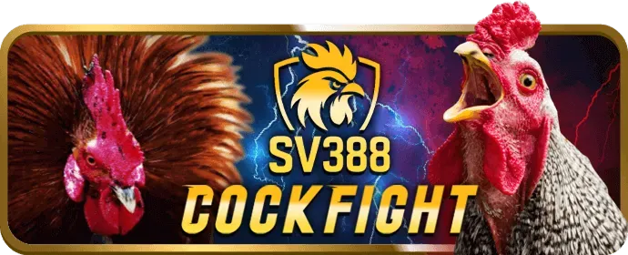 Bắt đầu chơi casino tại rik88 chính thức